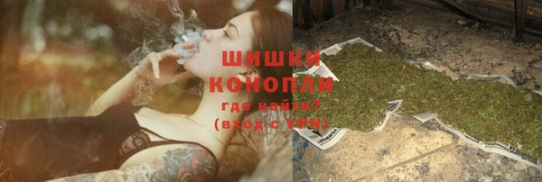 гидропоника Бородино