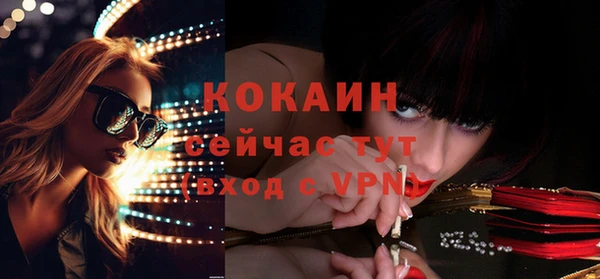 гидропоника Бородино
