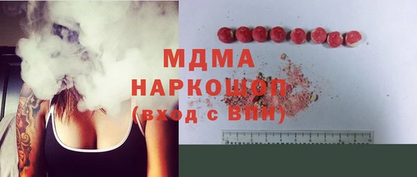 spice Богородицк