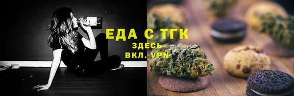 spice Богородицк