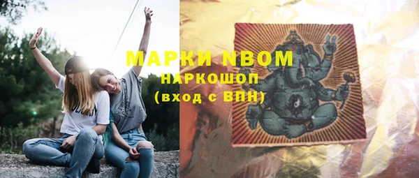 гидропоника Бородино