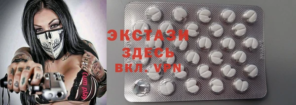 spice Богородицк