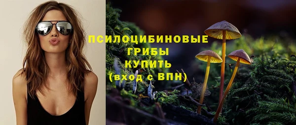 mdpv Бронницы